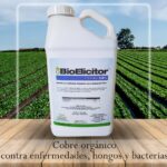BioElicitor-Cobre.jpeg